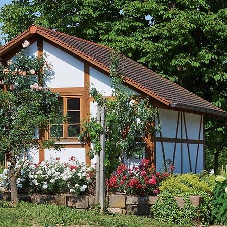 Apartamento Winzerhof Woerner Durbach Exterior foto